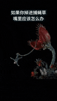 
闲着无聊看看球场大长腿玉人热舞：这舞姿打几分？|熊猫体育(图15)