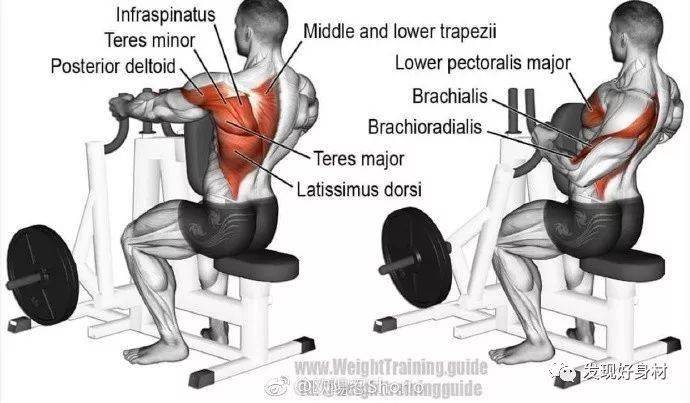 
20岁宁夏小伙练就一身肌肉,收获迷妹无数!“熊猫体育”(图25)