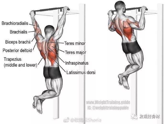 
20岁宁夏小伙练就一身肌肉,收获迷妹无数!“熊猫体育”(图28)