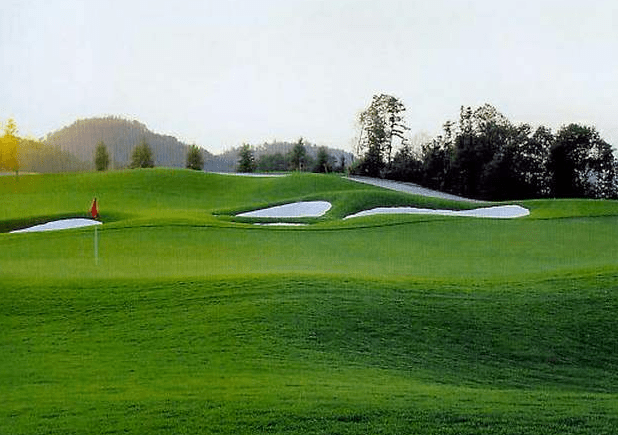 【熊猫体育】
高尔夫球场常用的草坪(图2)