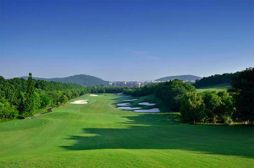 【熊猫体育】
高尔夫球场常用的草坪(图4)