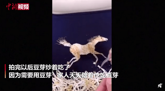 熊猫体育公司|
厉害!学校厨师用芽菜制作动画片(图7) 熊猫体育公司|
厉害!学校厨师用芽菜制作动画片(图7)