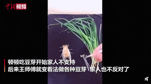 熊猫体育公司|
厉害!学校厨师用芽菜制作动画片(图8) 熊猫体育公司|
厉害!学校厨师用芽菜制作动画片(图8)